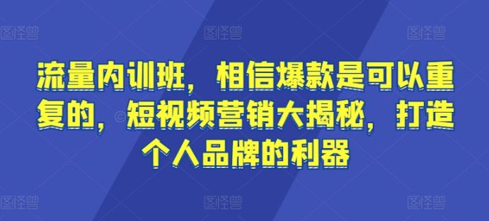 流量内训班,相信爆款是可以重复的,短视频营销大揭秘,打造个人品牌的利器-大可网创
