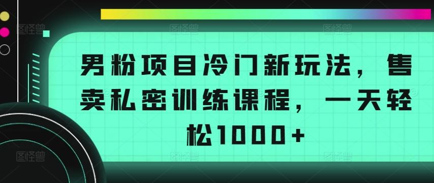 男粉项目冷门新玩法,售卖私密训练课程,一天轻松1000+【揭秘】-大可网创