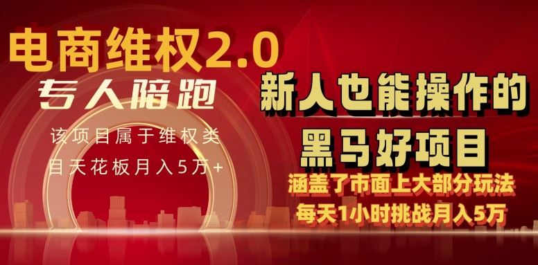 电商维权 4.0 如何做到月入 5 万+每天 1 小时新人也能快速上手【仅揭秘】-大可网创