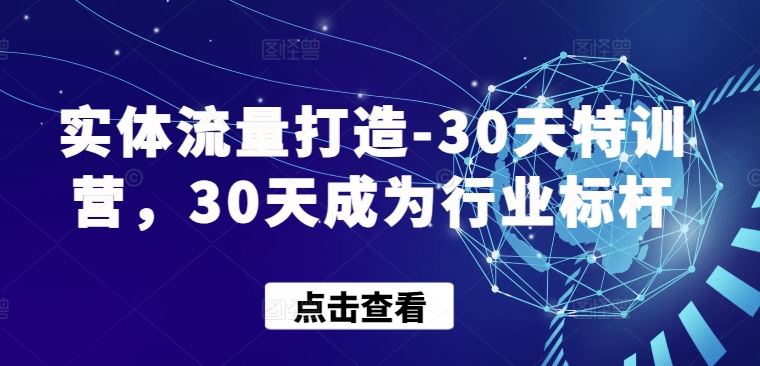 实体流量打造-30天特训营,30天成为行业标杆-大可网创