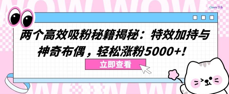两个高效吸粉秘籍揭秘:特效加持与神奇布偶,轻松涨粉5000+【揭秘】-大可网创