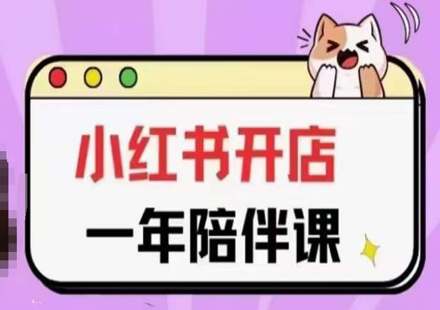 三九小红书开店一年陪伴课(更新),从0到1玩赚小红书开店-大可网创