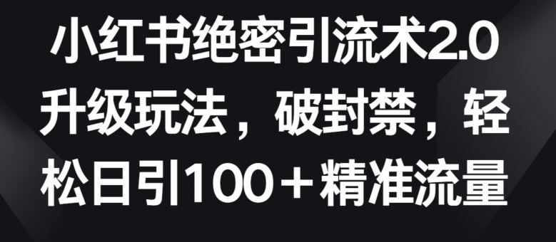 小红书绝密引流术2.0升级玩法,破封禁,轻松日引100+精准流量【揭秘】-大可网创