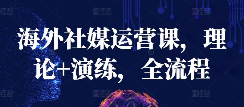 海外社媒运营课,理论+演练,全流程-大可网创