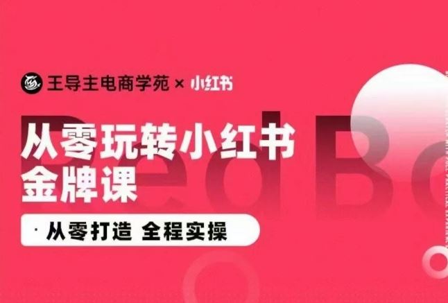 王导主·小红书电商运营实操课,从零打造 全程实操-大可网创