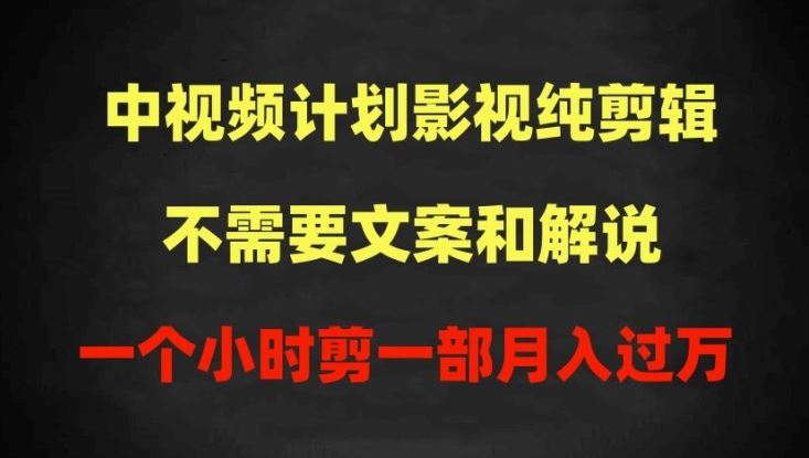 中视频计划影视纯剪辑,不需要文案和解说,一个小时剪一部,100%过原创月入过万【揭秘】-大可网创