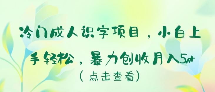冷门成人识字项目,小白上手轻松,暴力创收月入5w+【揭秘】-大可网创