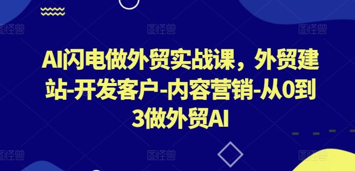 AI闪电做外贸实战课,外贸建站-开发客户-内容营销-从0到3做外贸AI-大可网创