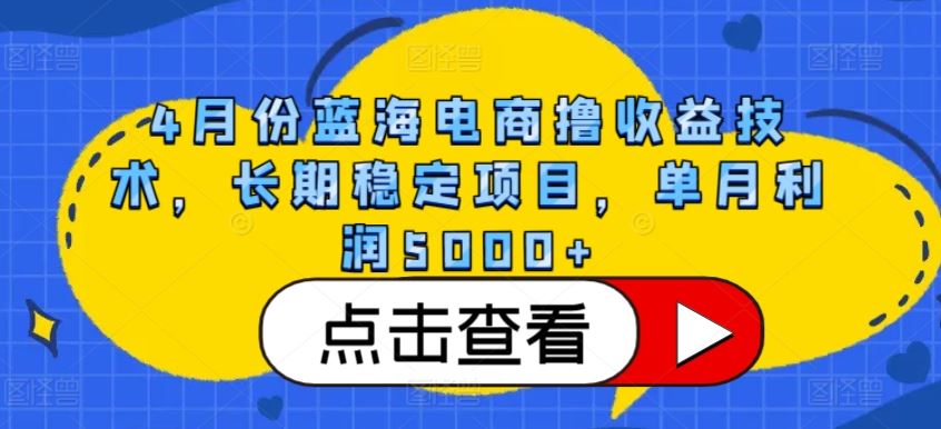 4月份蓝海电商撸收益技术,长期稳定项目,单月利润5000+【揭秘】-大可网创