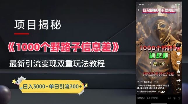 一千个野路子信息差最新玩法教程-变现+引流的玩法具体拆解【揭秘】-大可网创