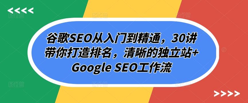 谷歌SEO从入门到精通,30讲带你打造排名,清晰的独立站+Google SEO工作流-大可网创