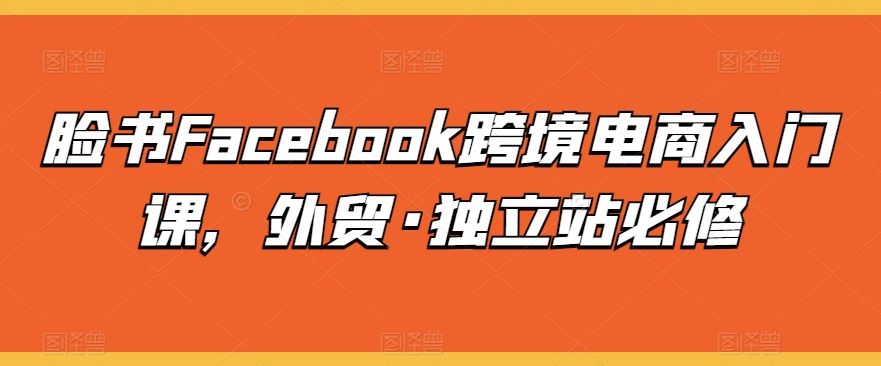 脸书Facebook跨境电商入门课,外贸·独立站必修-大可网创