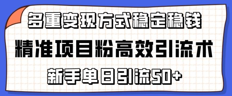 精准项目粉高效引流术,新手单日引流50+,多重变现方式稳定赚钱【揭秘】-大可网创