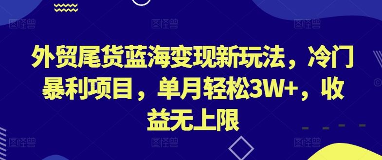 外贸尾货蓝海变现新玩法,冷门暴利项目,单月轻松3W+,收益无上限【揭秘】-大可网创