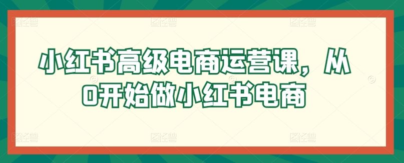 小红书高级电商运营课,从0开始做小红书电商-大可网创