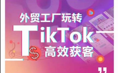 外贸工厂玩转TikTok高效获客,多种引流方式与账号定位技巧,拆解爆款短视频打造成功案例-大可网创