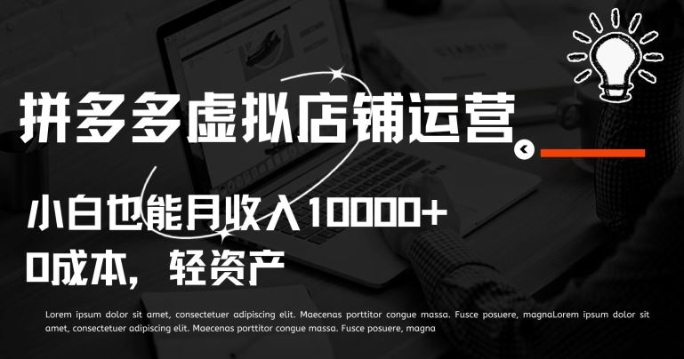 拼多多虚拟店铺运营小白也能月收入10000+【揭秘】-大可网创