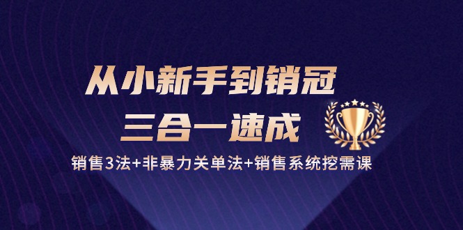 从小新手到销冠三合一速成:销售3法+非暴力关单法+销售系统挖需课 (27节)-大可网创