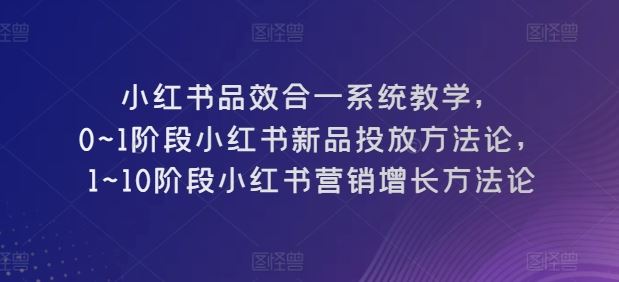 小红书品效合一系统教学,0~1阶段小红书新品投放方法论,1~10阶段小红书营销增长方法论-大可网创