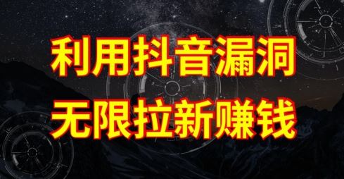 利用抖音链接漏洞,无限拉新赚钱【漏洞原理+操作流程】【揭秘】-大可网创