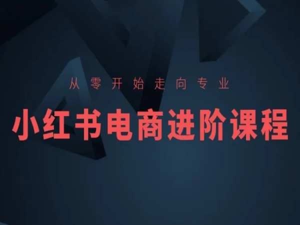从零开始走向专业,小红书电商进阶课程-大可网创