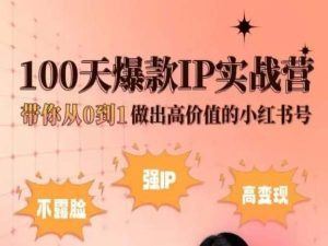 小红书100天爆款IP实战营,带你从0到1做出高价值的小红书号-大可网创