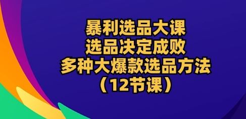 暴利选品大课:选品决定成败,教你多种大爆款选品方法(12节课)-大可网创