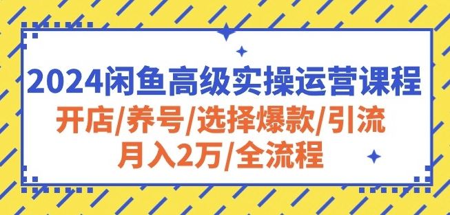 2024闲鱼高级实操运营课程:开店/养号/选择爆款/引流/月入2万/全流程-大可网创