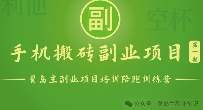 手机搬砖小副业项目训练营1.0,实测1小时收益50+,一部手机轻松日入100+-大可网创