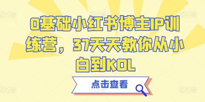 0基础小红书博主IP训练营,37天天教你从小白到KOL-大可网创