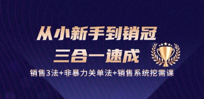 从小新手到销冠 三合一速成:销售3法+非暴力关单法+销售系统挖需课 (27节)-大可网创