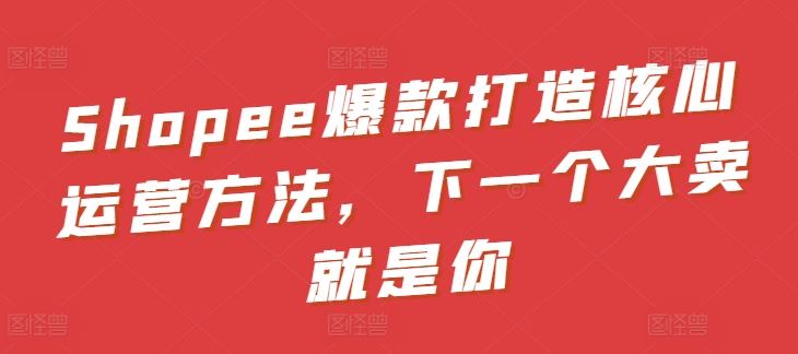 Shopee爆款打造核心运营方法,下一个大卖就是你-大可网创