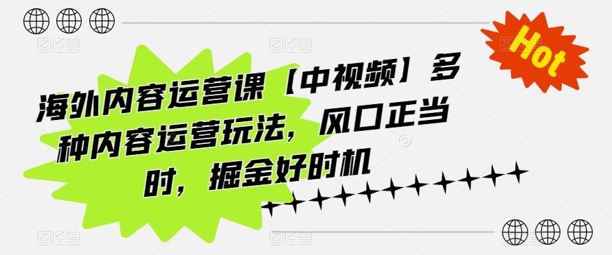 海外内容运营课【中视频】多种内容运营玩法,风口正当时,掘金好时机-大可网创