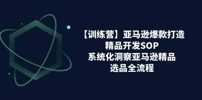 亚马逊爆款打造之精品开发SOP【训练营】,系统化洞察亚马逊精品选品全流程-大可网创