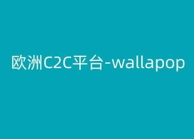 欧洲C2C平台-wallapop-kim跨境电商教程-大可网创