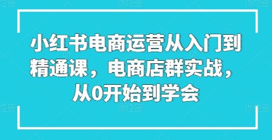 小红书电商运营从入门到精通课,电商店群实战,从0开始到学会-大可网创