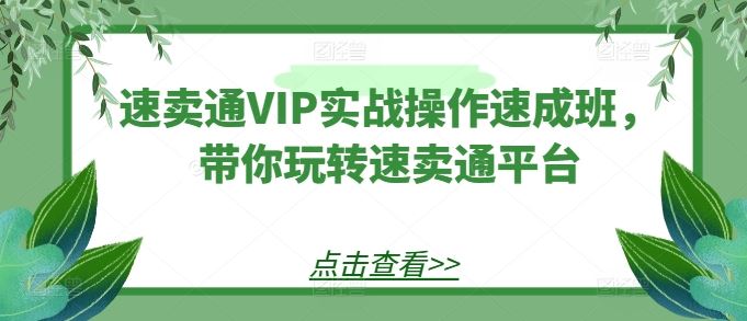 速卖通VIP实战操作速成班,带你玩转速卖通平台-大可网创