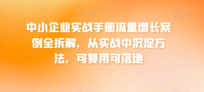 中小企业实战手册流量增长案例全拆解,从实战中沉淀方法,可复用可落地-大可网创