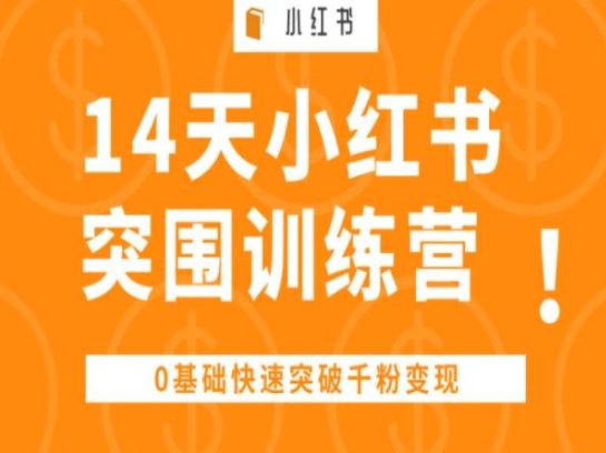 14天小红书突围训练营 ,0基础快速突破千粉变现-大可网创