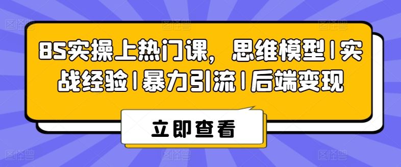 8S实操上热门课,思维模型|实战经验|暴力引流|后端变现-大可网创