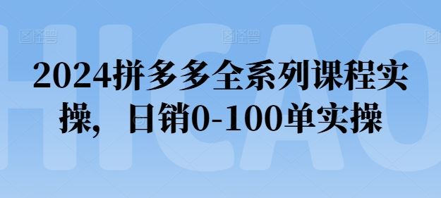 2024拼多多全系列课程实操,日销0-100单实操【必看】-大可网创