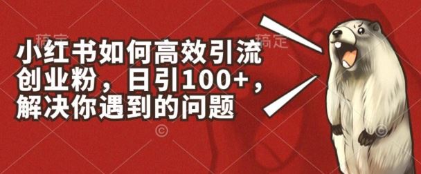 小红书如何高效引流创业粉,日引100+,解决你遇到的问题【揭秘】-大可网创