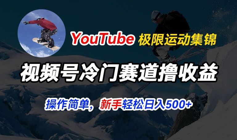 视频号冷门赛道撸收益,YouTube搬运极限运动集锦,暴力起号,操作简单流量高,轻松日入5张【揭秘】-大可网创