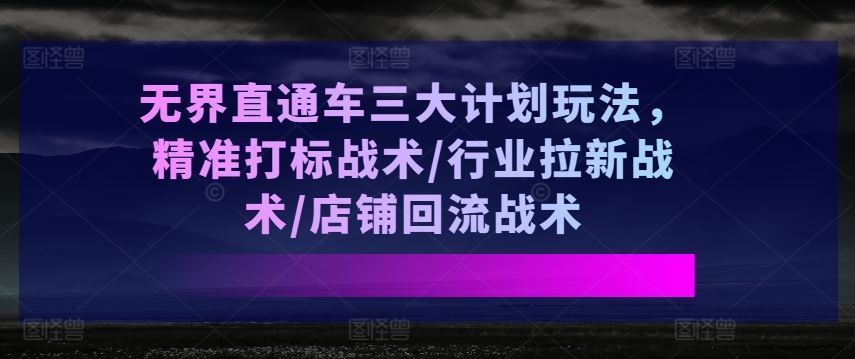 无界直通车三大计划玩法,精准打标战术/行业拉新战术/店铺回流战术-大可网创