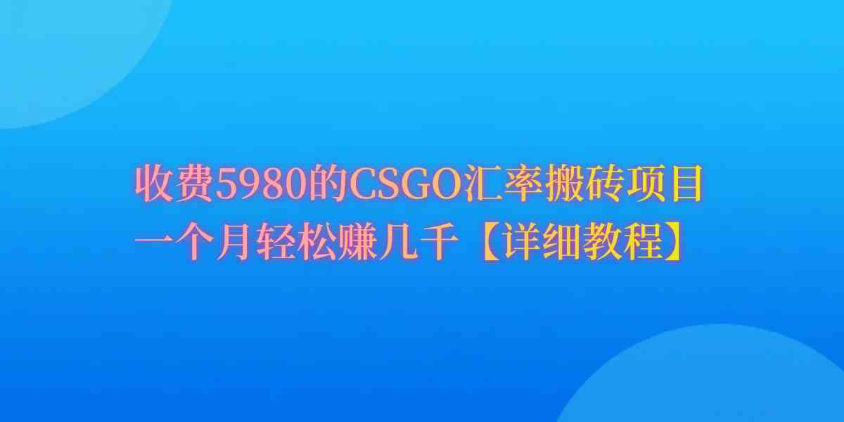 (9776期)CSGO装备搬砖,月综合收益率高达60%,你也可以!-大可网创