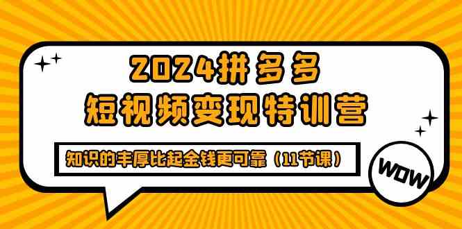 (9817期)2024拼多多短视频变现特训营,知识的丰厚比起金钱更可靠(11节课)-大可网创