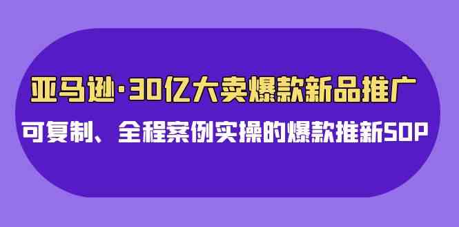 (9944期)亚马逊30亿·大卖爆款新品推广,可复制、全程案例实操的爆款推新SOP-大可网创