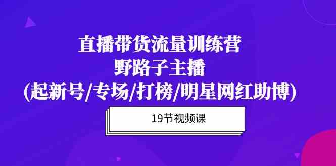(10016期)直播带货流量特训营,野路子主播(起新号/专场/打榜/明星网红助博)19节课-大可网创