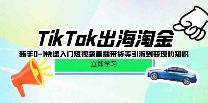 (10035期)TikTok-出海淘金,新手0-1快速入门短视频直播带货等引流到变现的知识-大可网创