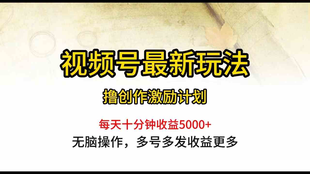 (10087期)视频号最新玩法,每日一小时月入5000+-大可网创